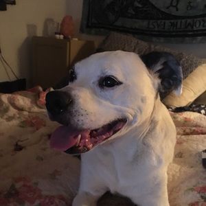 Meet your Posher, Zane